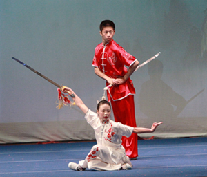 Wushu